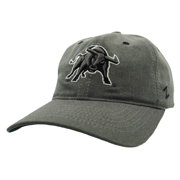 Gray hat with the Utah State bull logo.